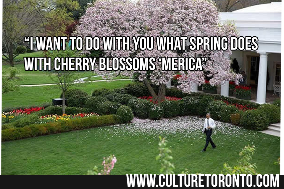 cherry blossoms pablo neruda.jpg