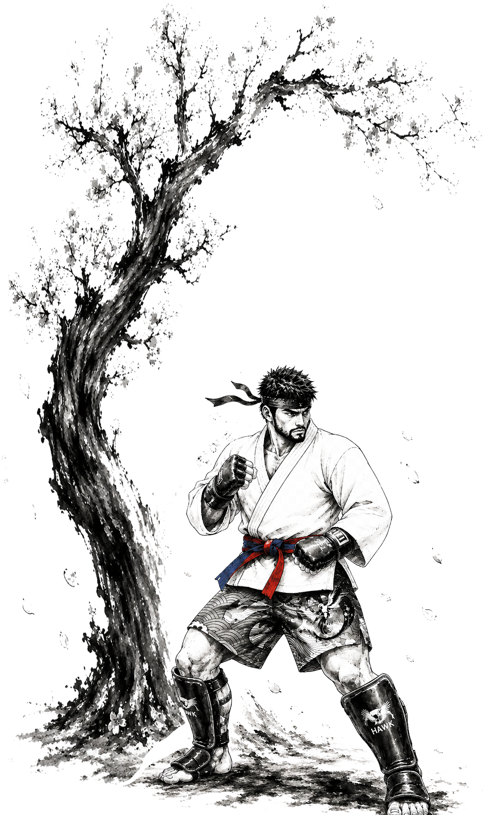 Hawk MMA Fighter
