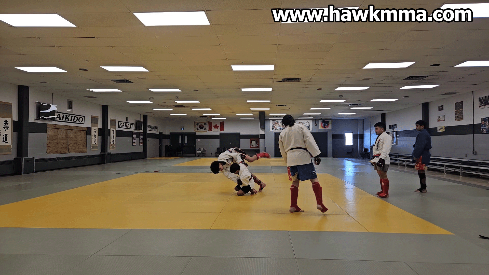 pic gif for email.gif