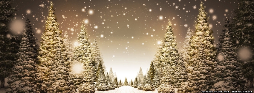 1699-xmas-tree-snow-facebook-cover