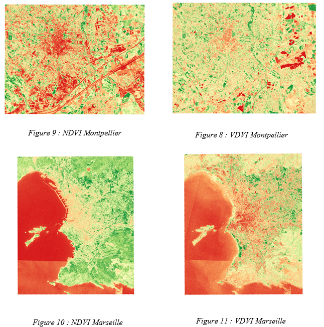 NDVI ou VDVI.png