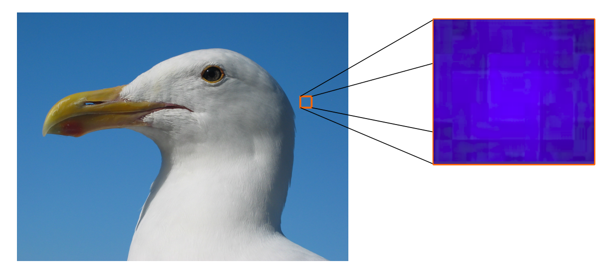 Observation des pixels d’une image.