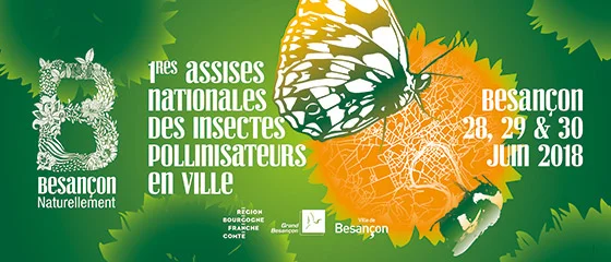 besançon.jpg