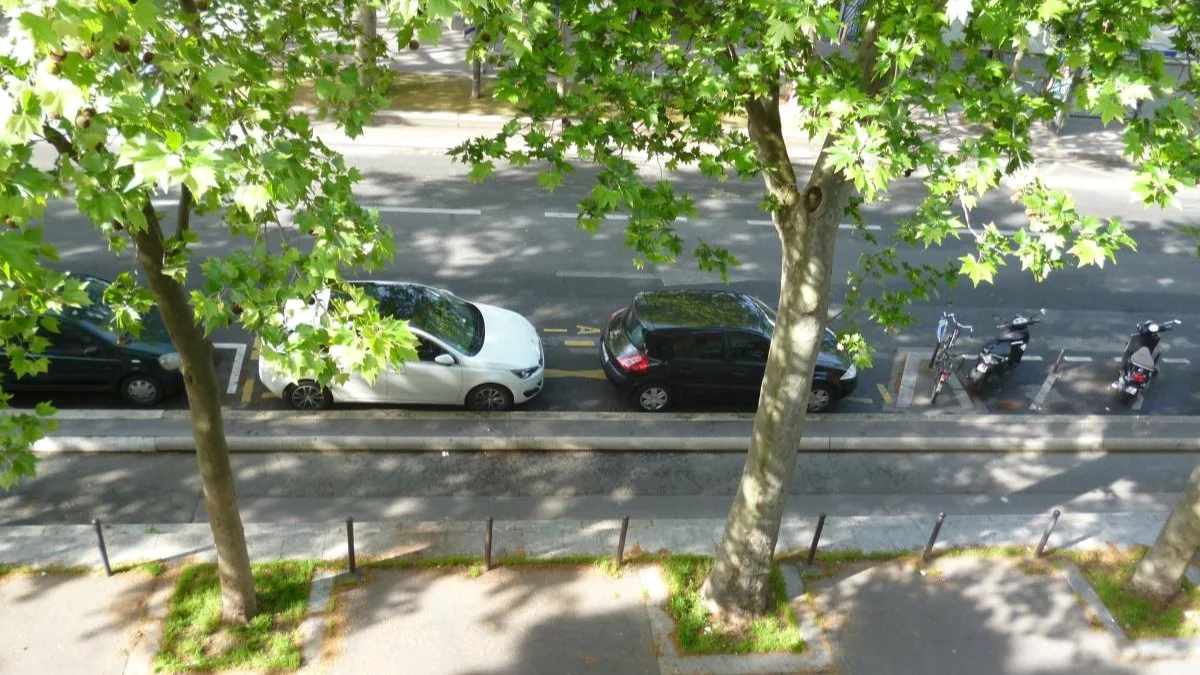 arbre-dalignement.jpg