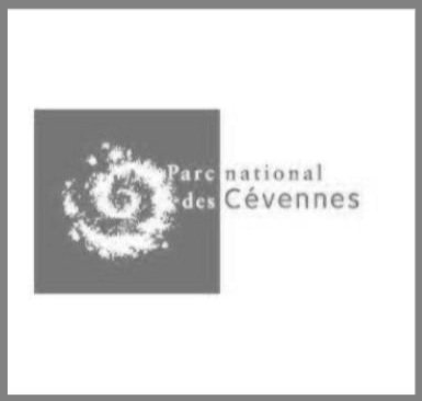Logo PN Cévennes.png