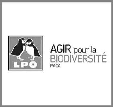 Logo LPO.png