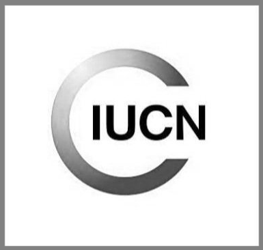 Logo IUCN.png