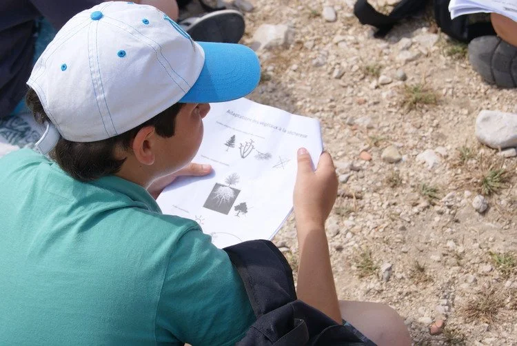 Que sont les Sciences Participatives et sciences citoyennes ?