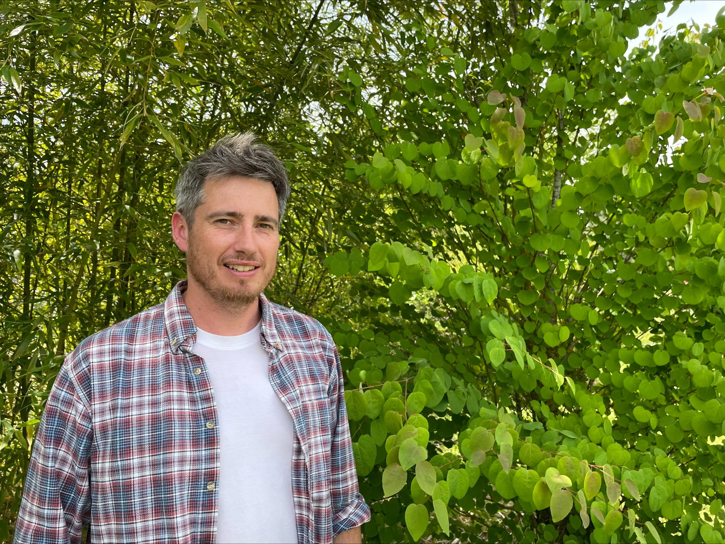 Alexandre Colin : « La végétalisation des villes doit être résiliente au climat de 2050 »