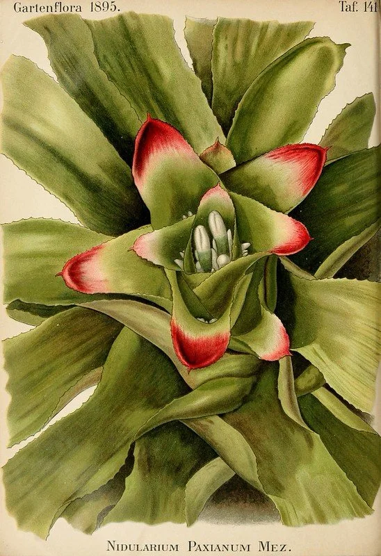 Intelligence artificielle et biodiversité