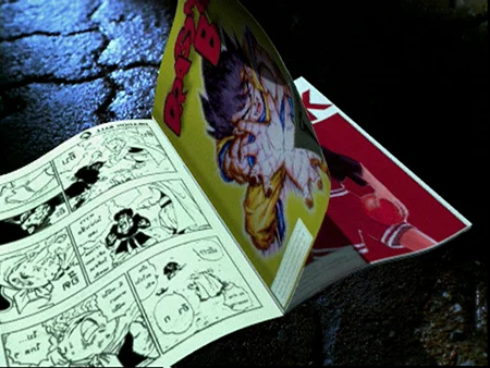 0029 boom page turn.jpeg