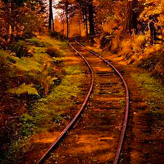 I hear a train a comin. It's rolling round the bend ...it's Nittany Mountain Distillery's Old no. 409 Bourbon™ . Working out the mash bill today! #nittanymountaindistillery #nittany #statecollege #pennstate #bourbon #distillery #microdistillery #pennstateuniversity #nittanymountain #spirits