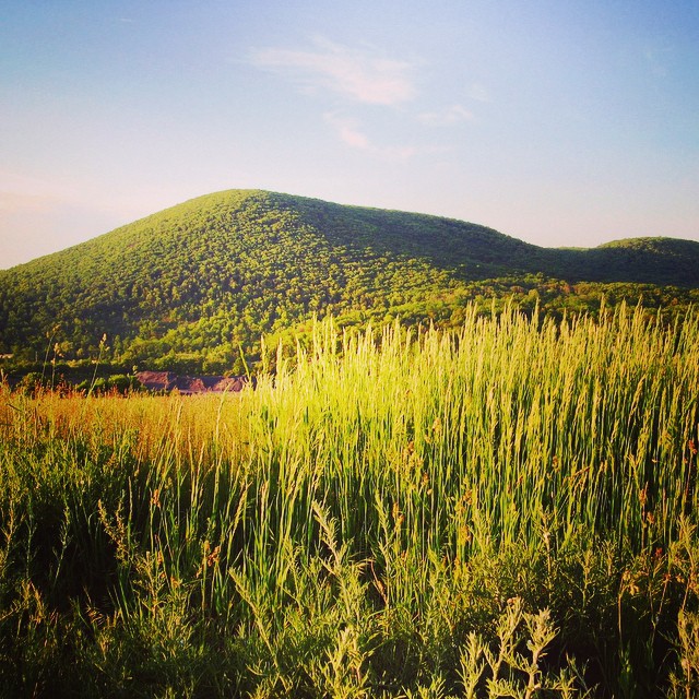 Our home-Nittany Mountain.#pennstate #nittanymountaindistillery #statecollegepa #microdistillery #nittanymountainmoonshine #nowaitwhiskey #nittanymountainbourbon #spirits #liquor #mountnittany
