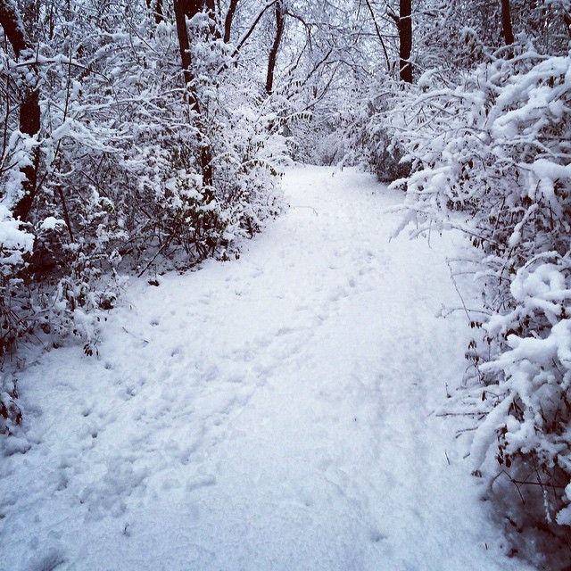 Morning on the mountain. Happy Thanksgiving from Nittany Mountain Distillery.
#nittanymountain #nittanymountaindistillery #spirits #statecollege #pennstateuniversity #pennstate #pennsylvania #snow #thanksgiving #distillery #microdistillery #nittanylions