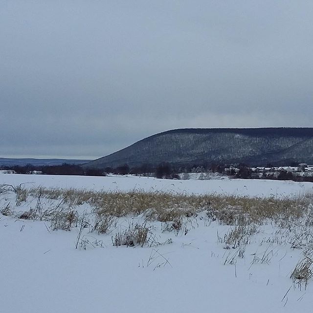 #nittanymountain #pennstate #nittanymountaindistillery #pennstateuniversity #statecollege