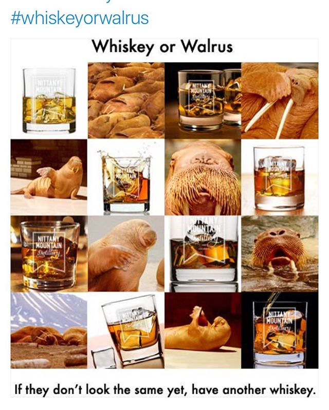Whiskey or walrus!
#memes #nittanymountaindistillery #wednesdaywisdom #whiskeyorwalrous #statecollege #pennstate #spirits