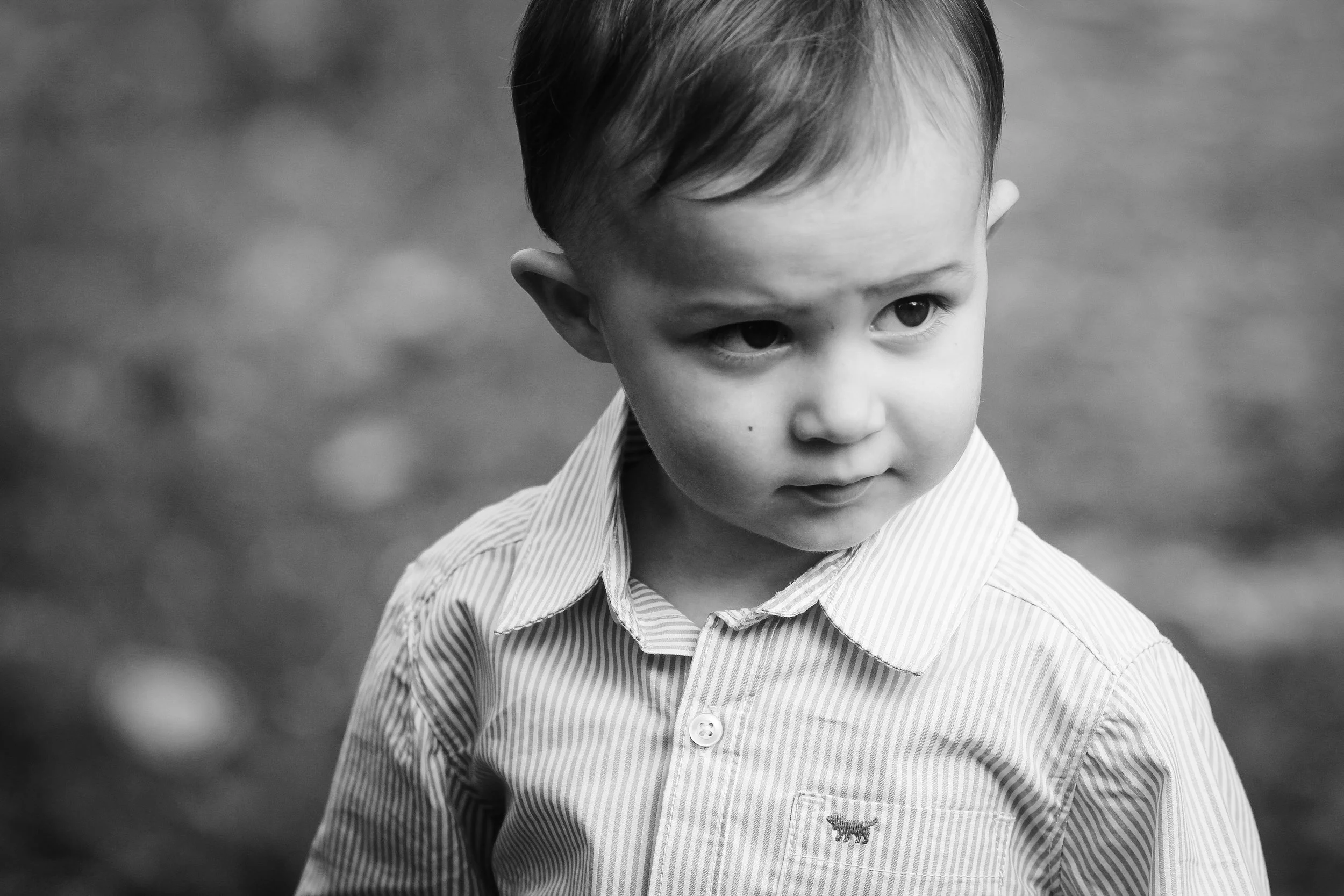 ShayleeRayPhotography-3347.jpg