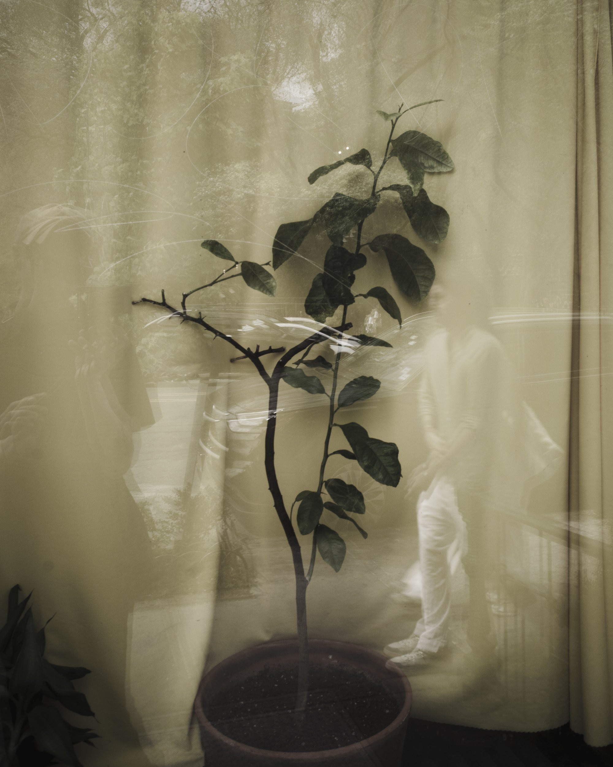 Ricoh-565.jpg