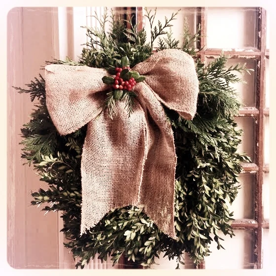 Boxwood w/ Burlap Bow