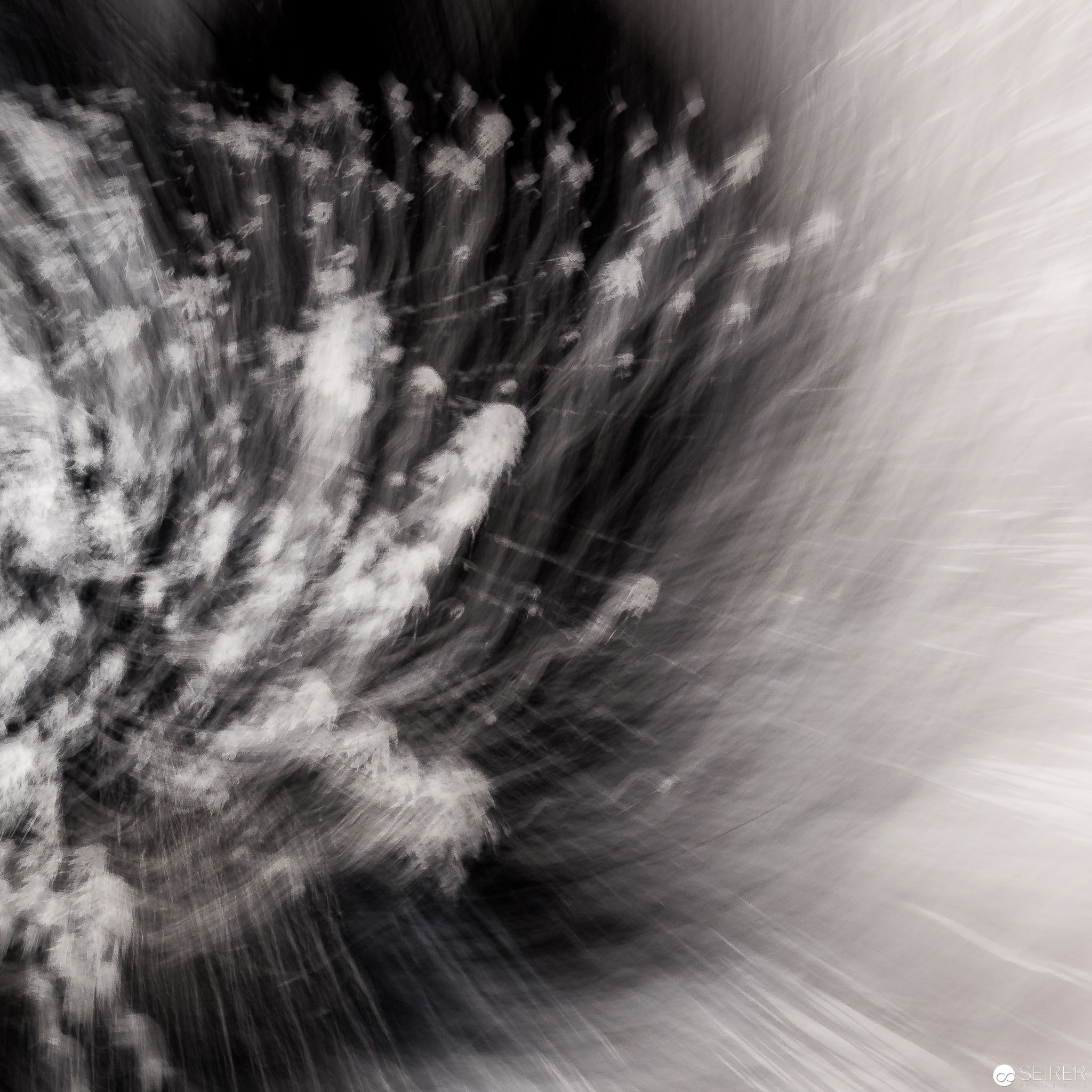 Ausschnitt aus einem Rotationsbild von Alfons Schilling - verfremdet durch Kamerabewegungen