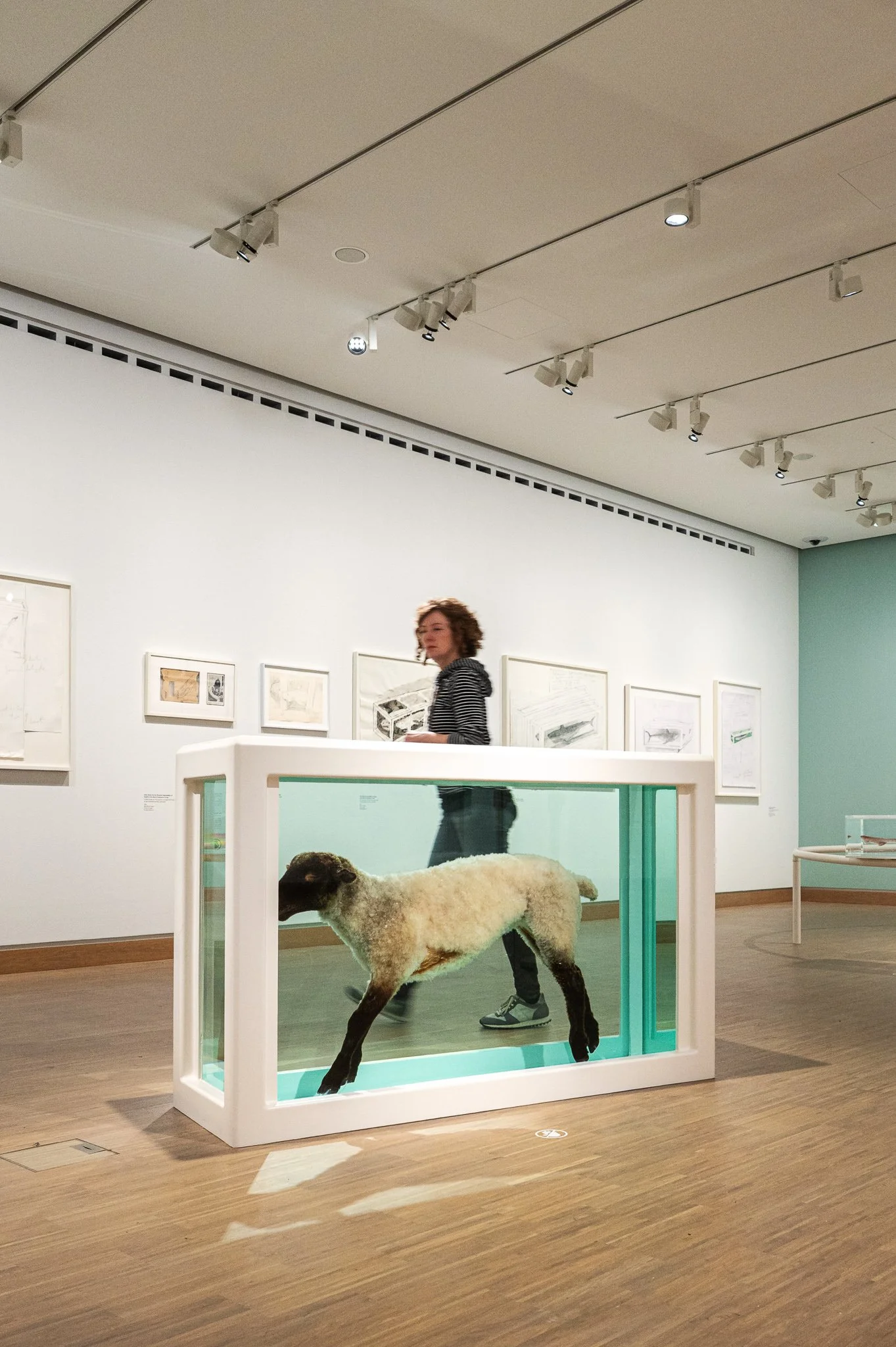 Exhibition view “Damien Hirst - Drawings”, Albertina Modern, 2025