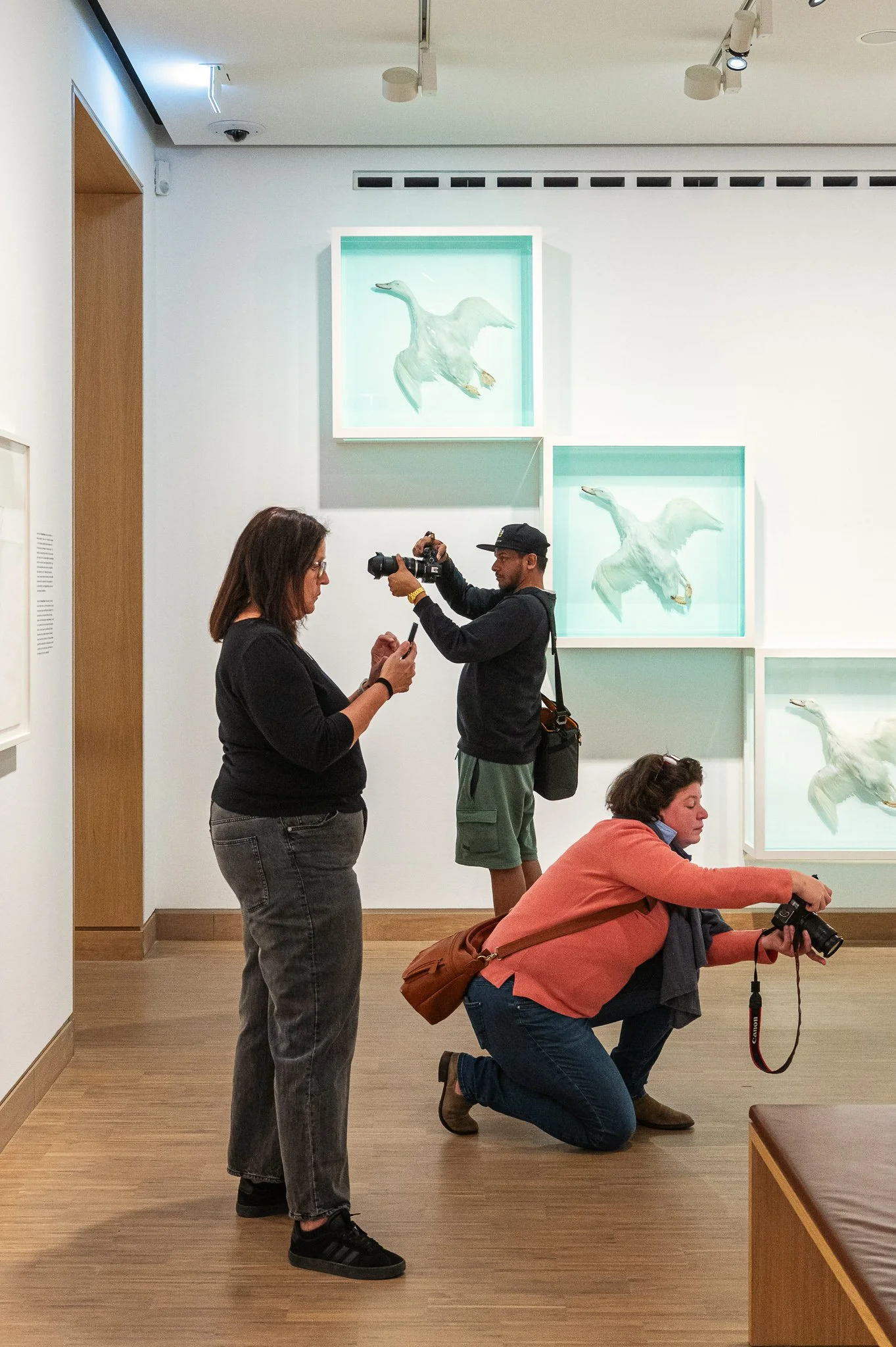 Exhibition view “Damien Hirst - Drawings”, Albertina Modern, 2025