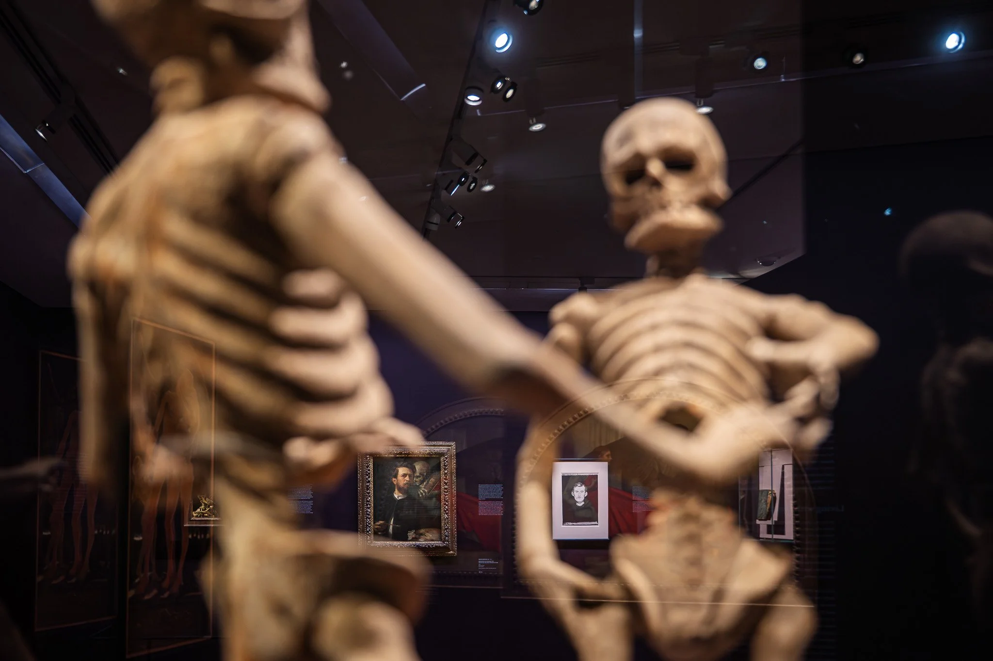 Exhibition view, "Gothic Modern", Albertina 2025