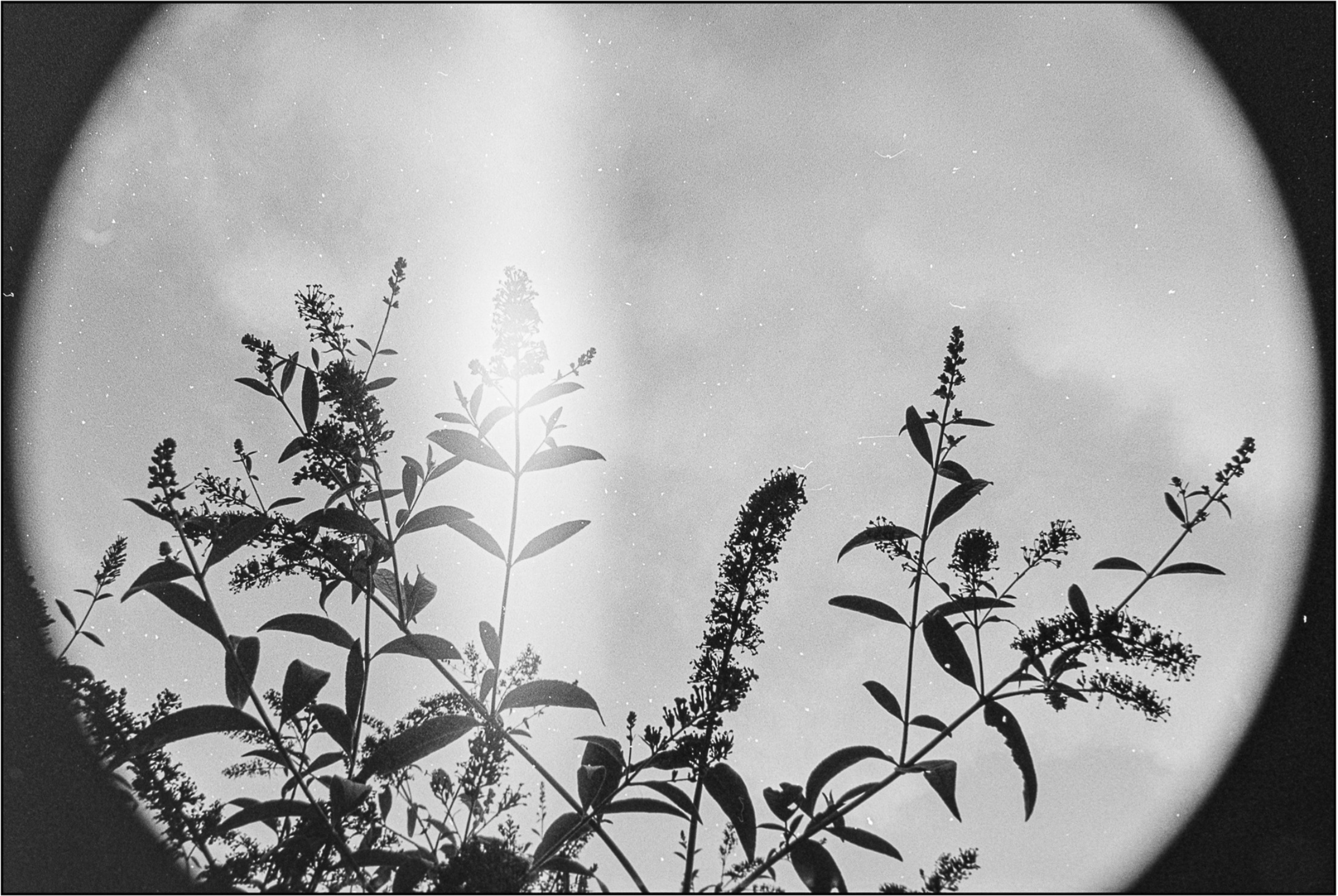 The Pixels Were Never the Point