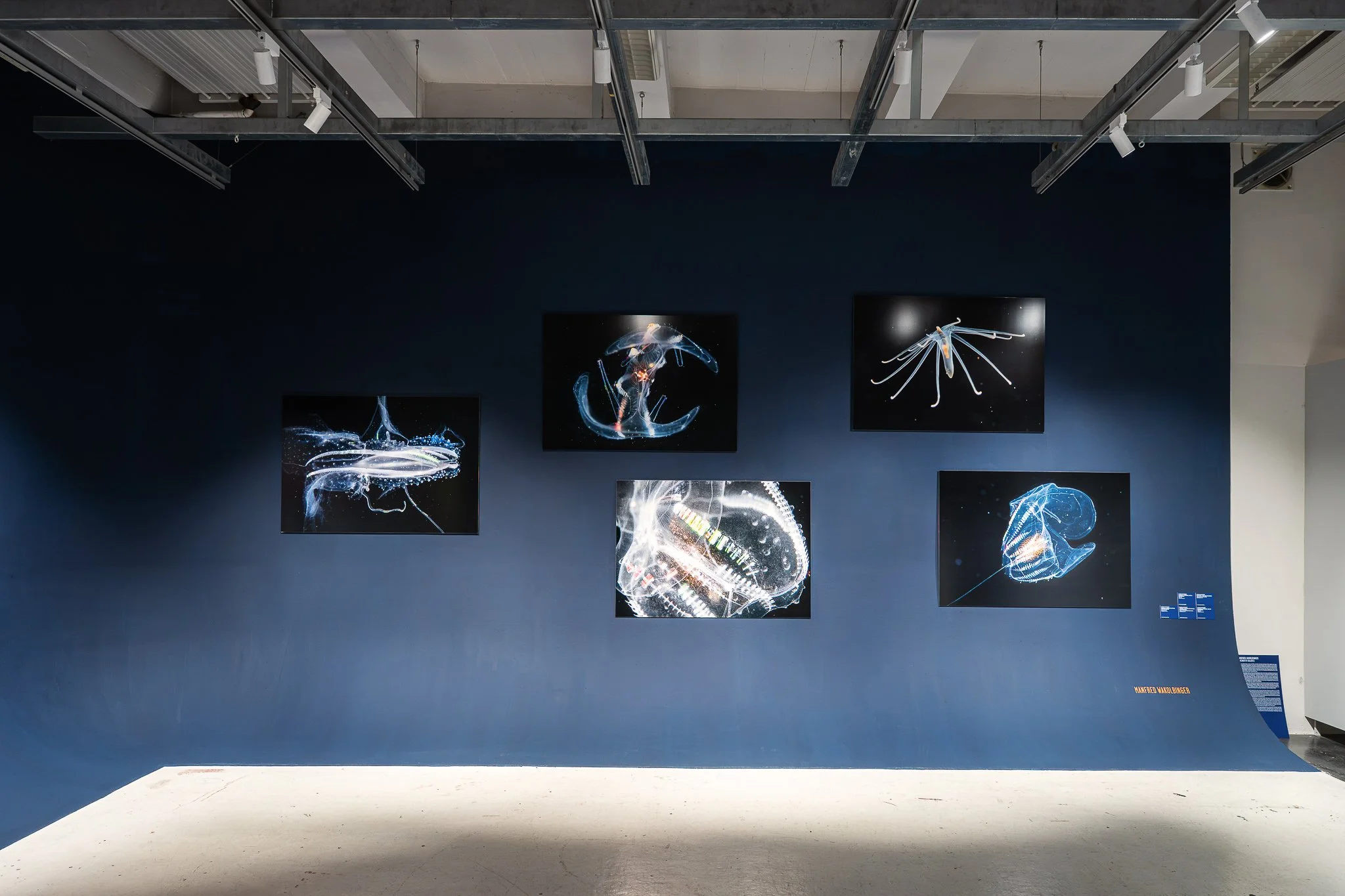 Manfred Walkobinger works at "Under Water" exhibition at Westlicht, 2026