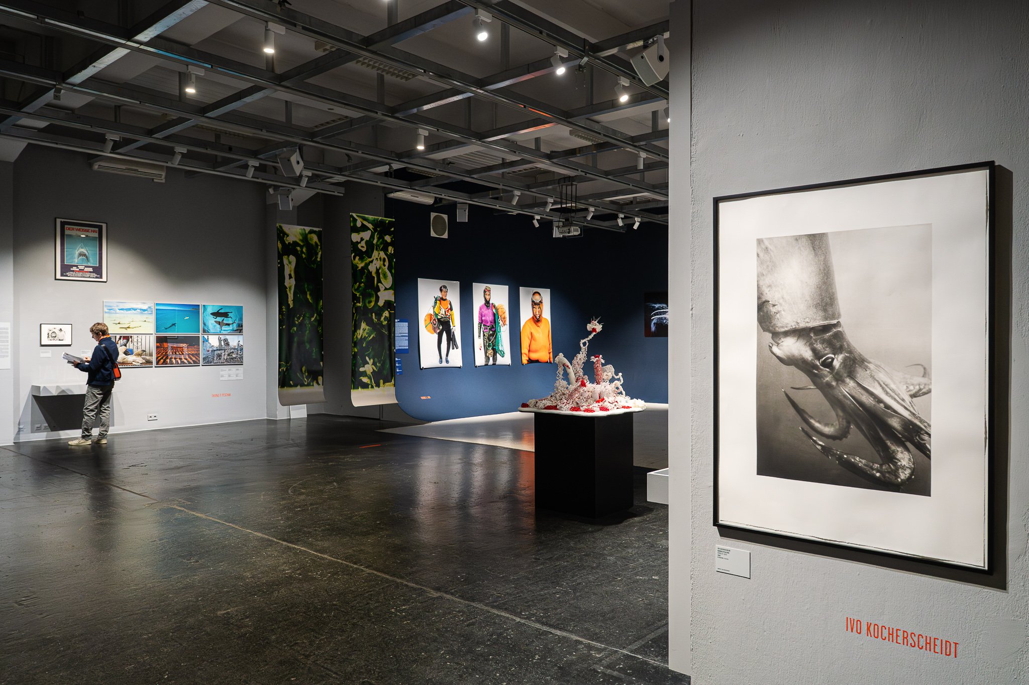 Exhibition view "Under Water" at Westlicht 2026