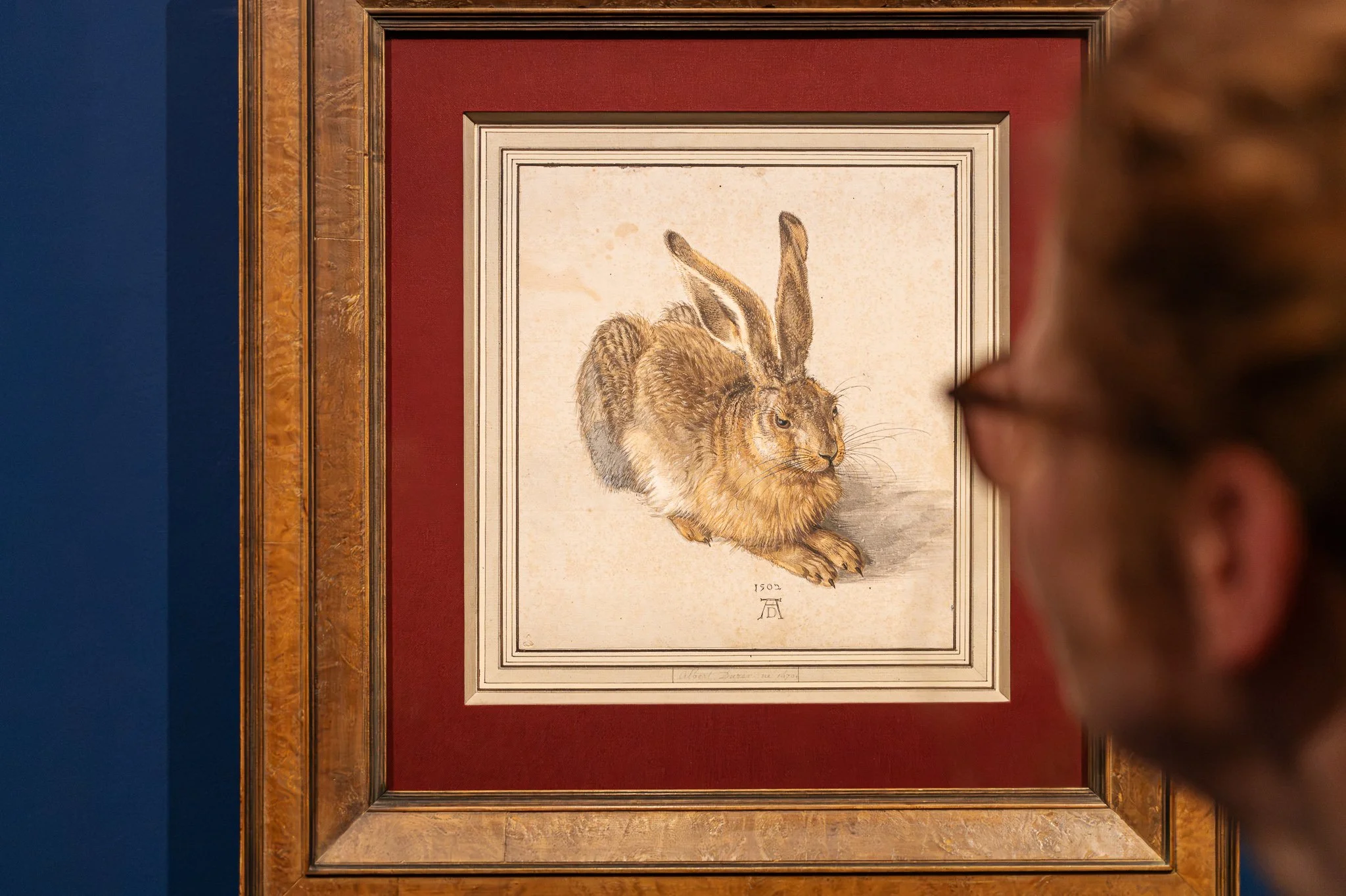 Dürer's Hare - the original! - is currently exhibited. The Albertinas 250th Anniversary Exhibition, 2026