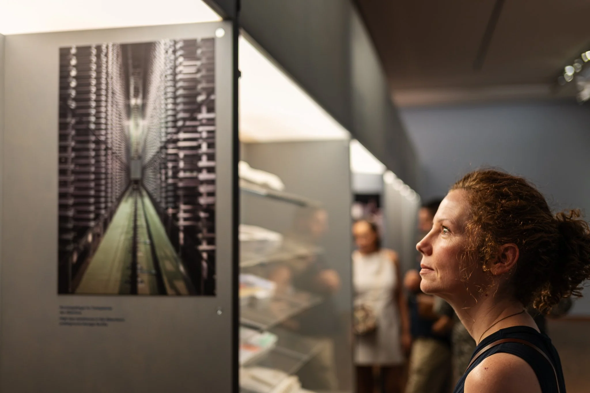 The history of the Building the the Collection. The Albertinas 250th Anniversary Exhibition, 2026