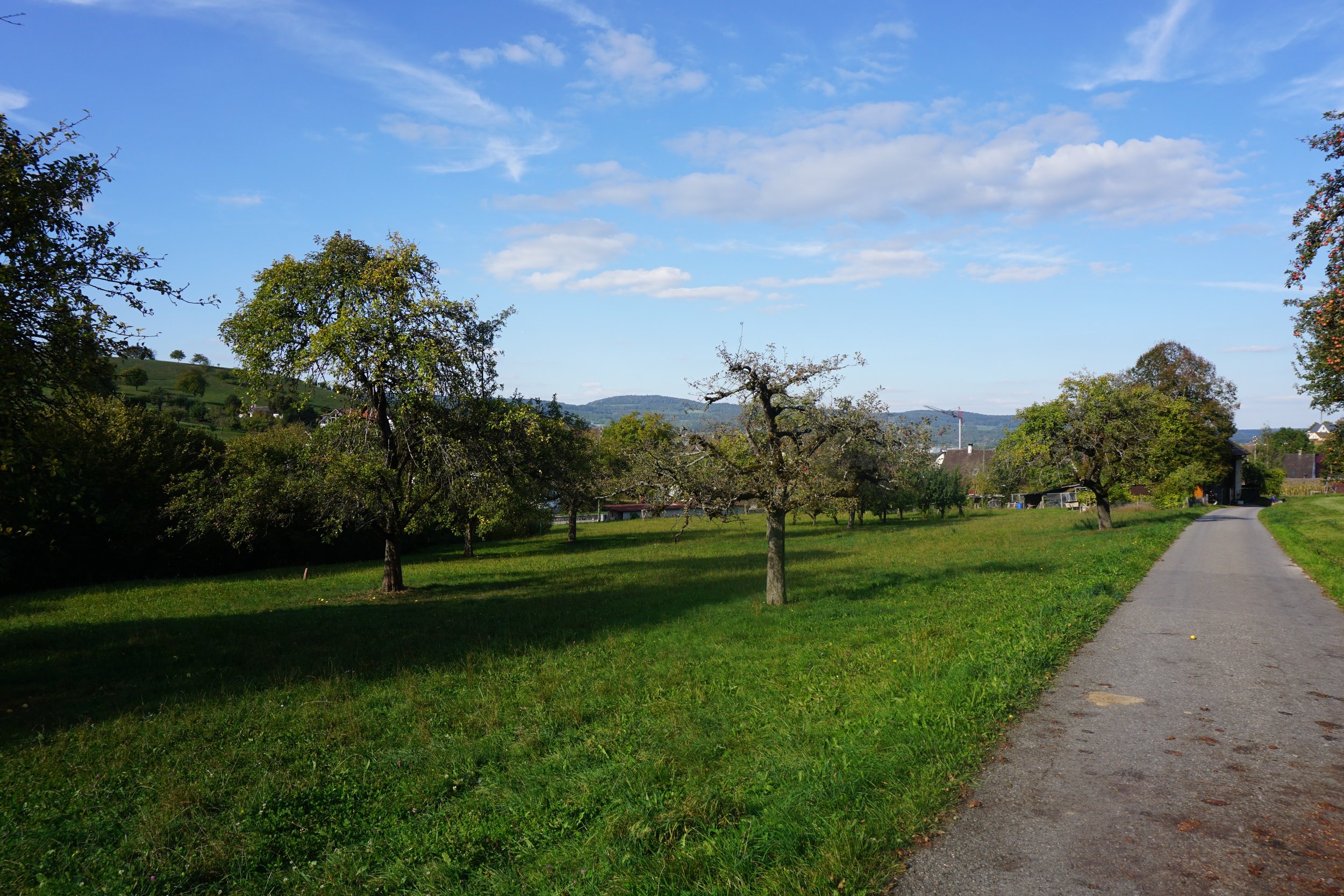 DSC03617.jpg