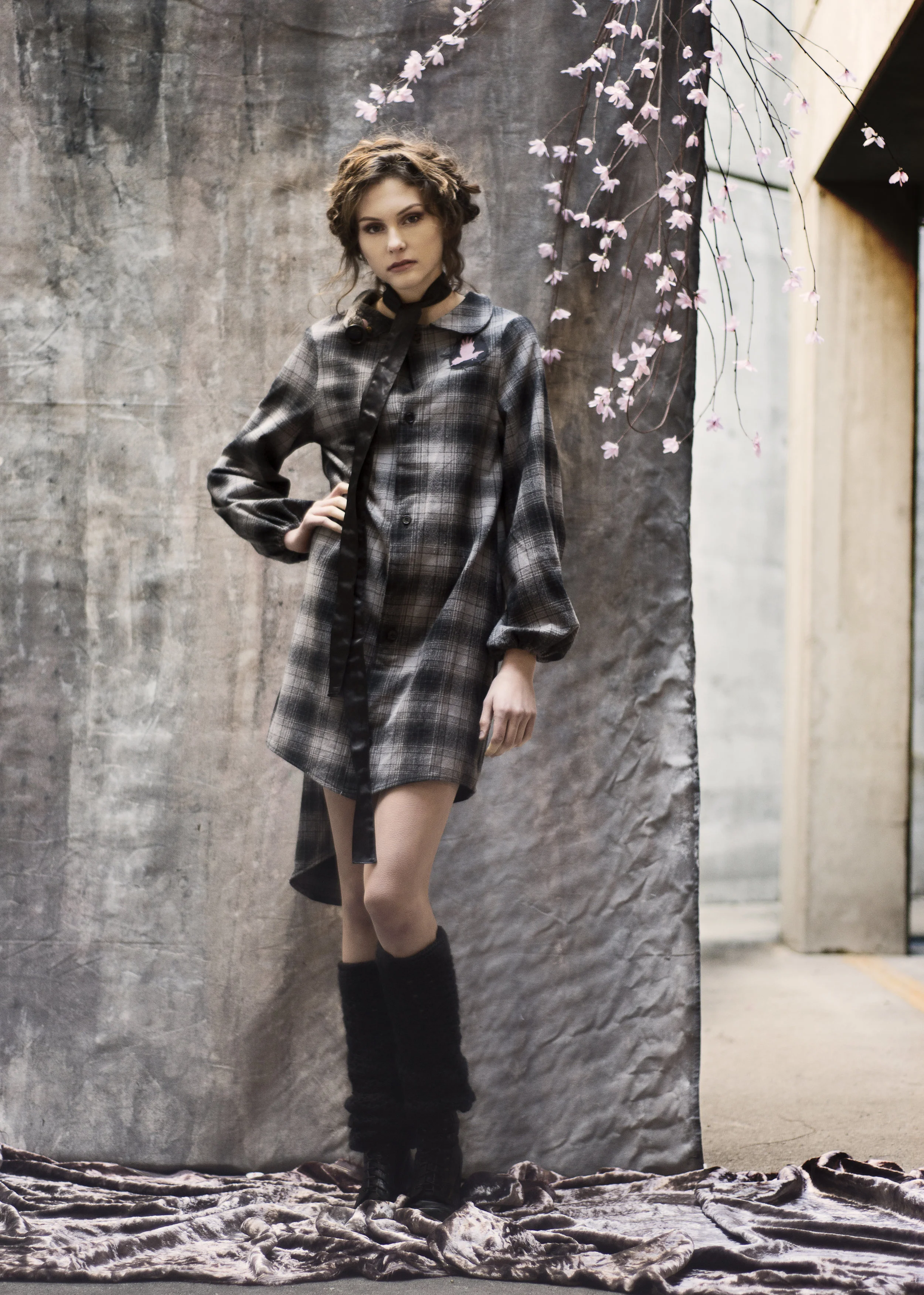 rsz_dsc_2547.jpg