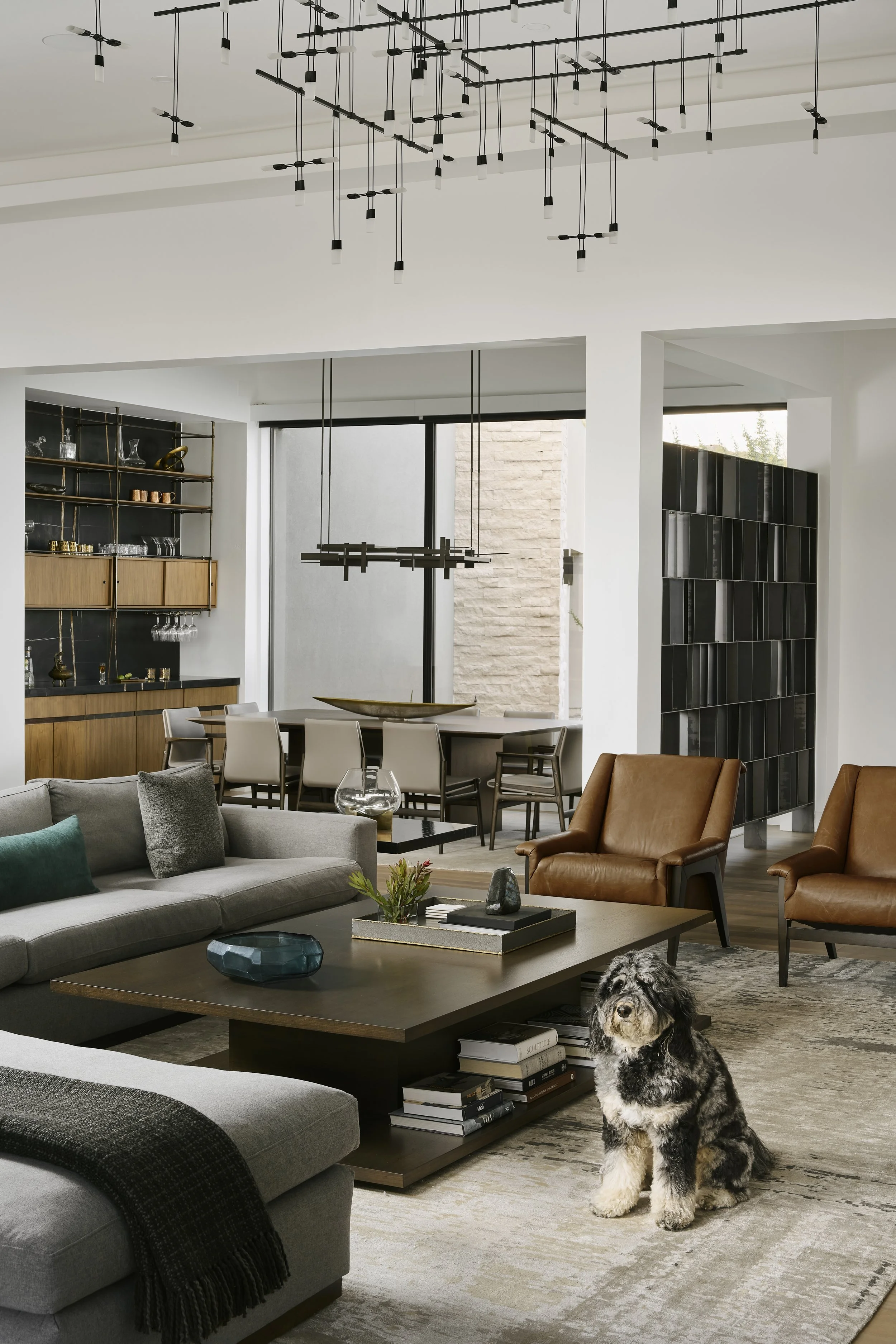 livingroomdetaildoggie.jpg