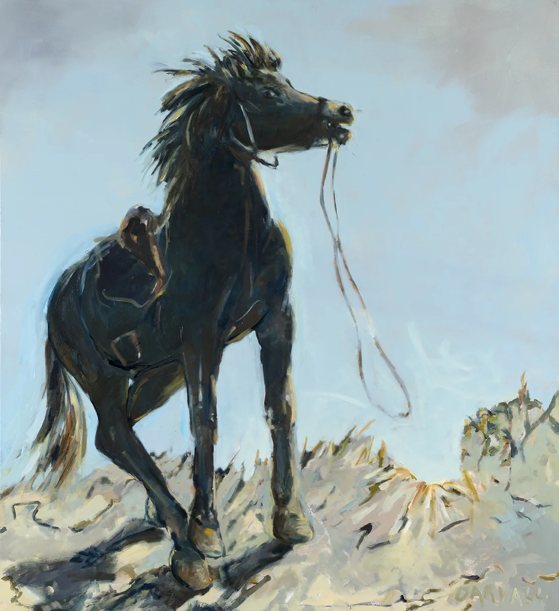 Midnight (CY O'Connors horse) 2014