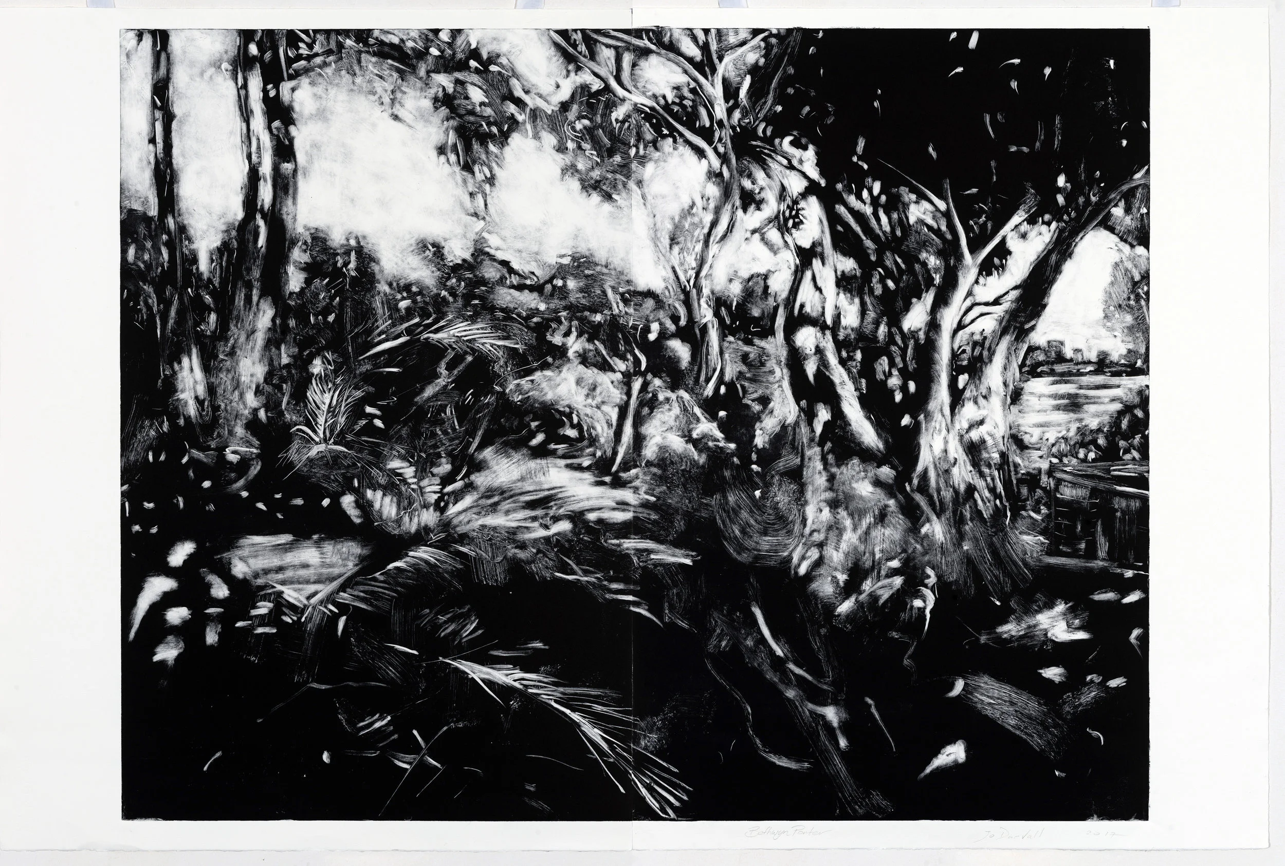 Heathcote Prints No 3 2017