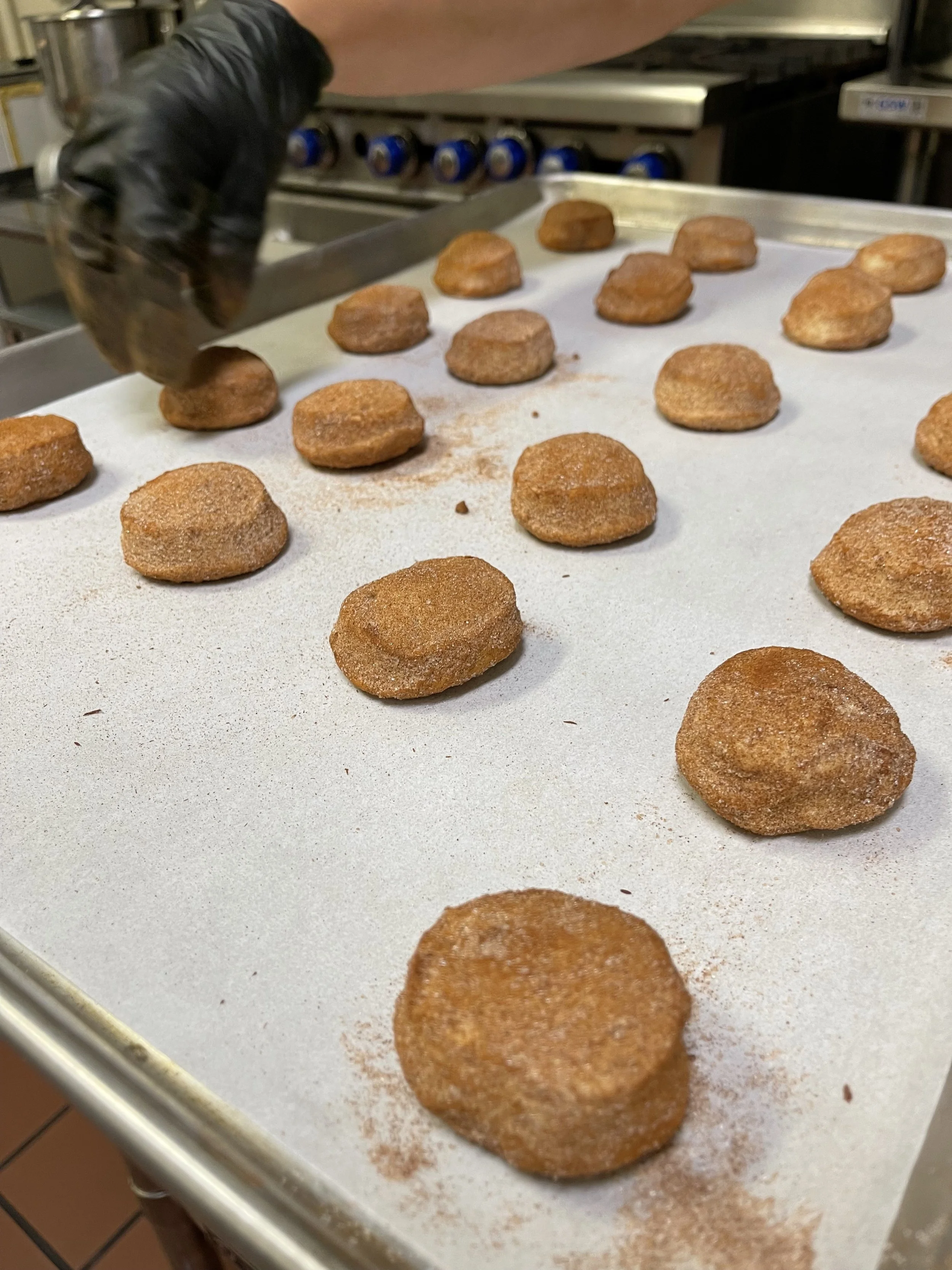 snickerdoodle.jpg