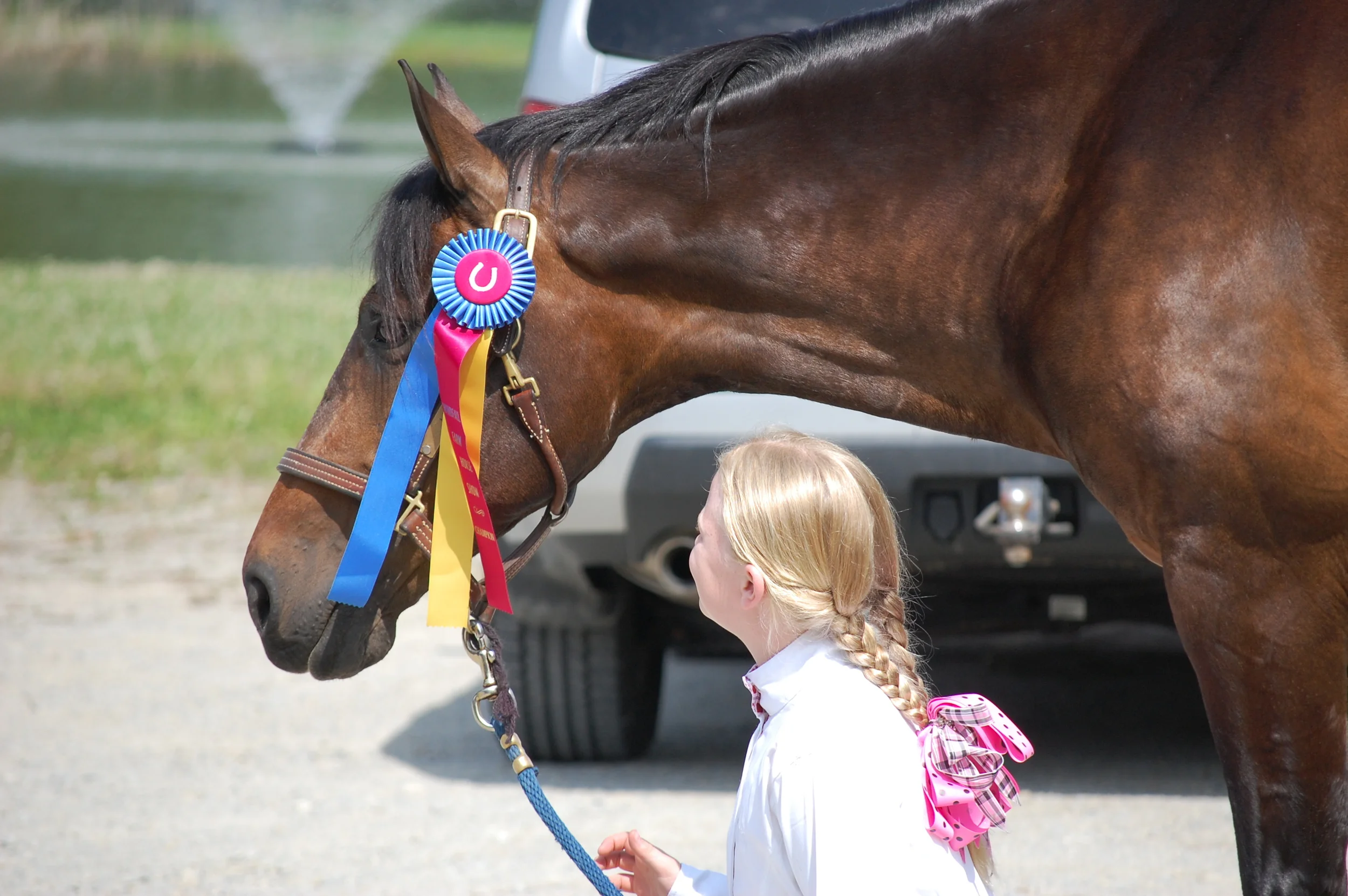 Belleame Farm Horse Show