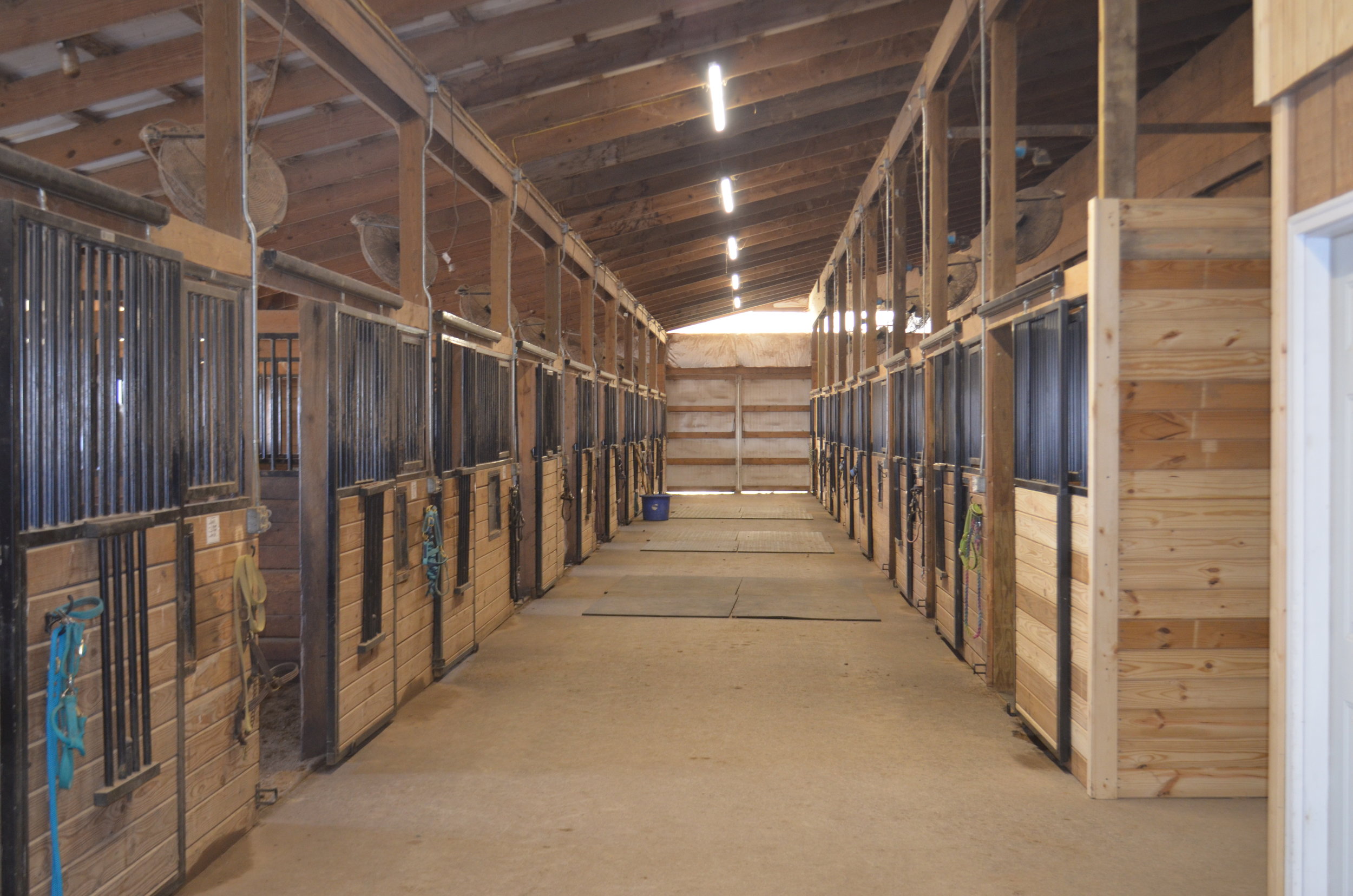 Belleame Farm Horse Stalls