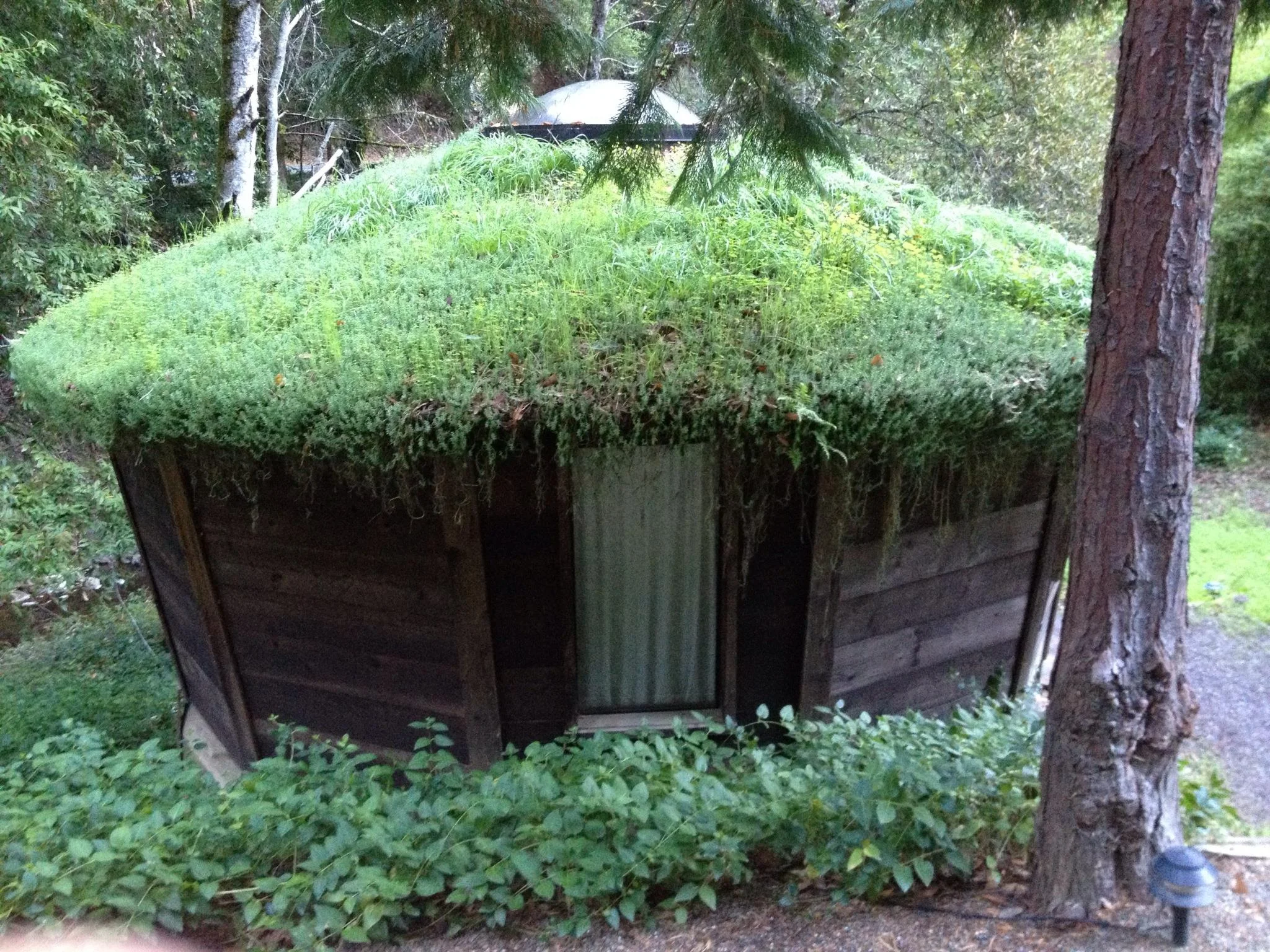 yurt.jpg