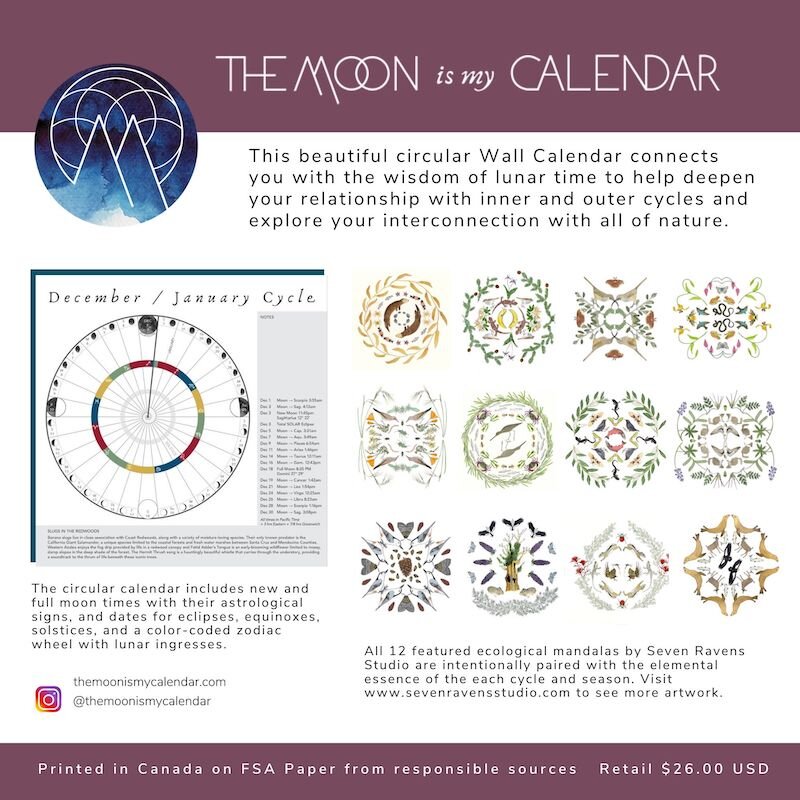 Full Moon Calendar 2022 Pacific Time 2022 Moon Calendars — The Moon Is My Calendar