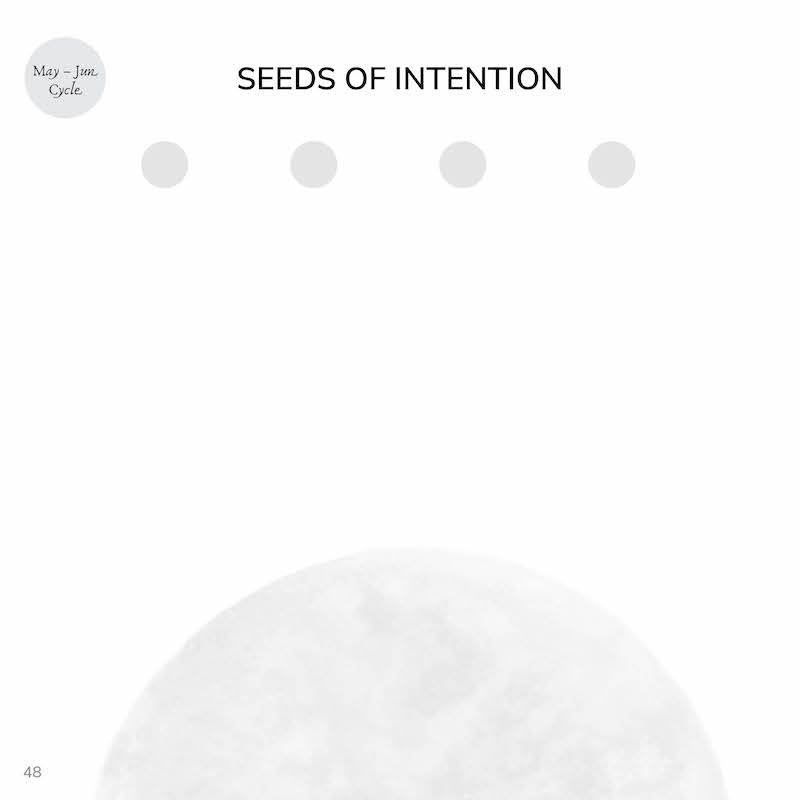 seeds of intention.jpg