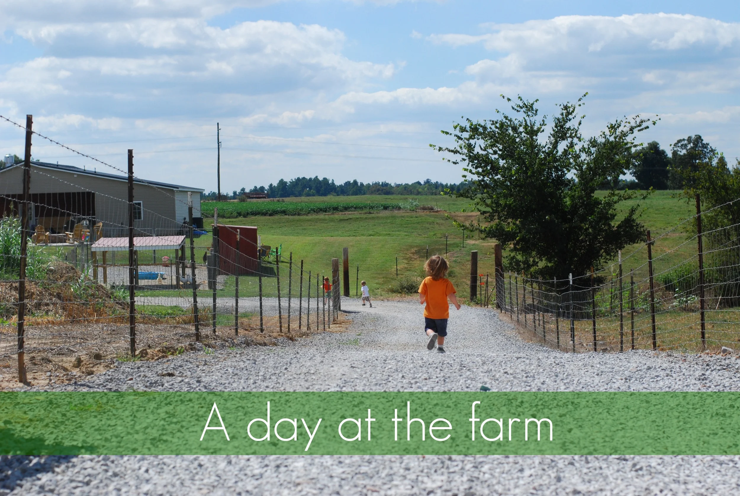 day-at-the-farm.jpg