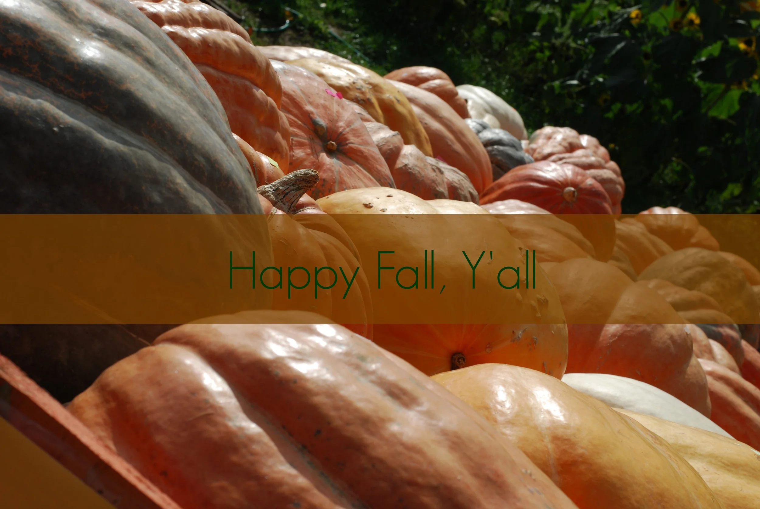 happy-fall-yall.jpg