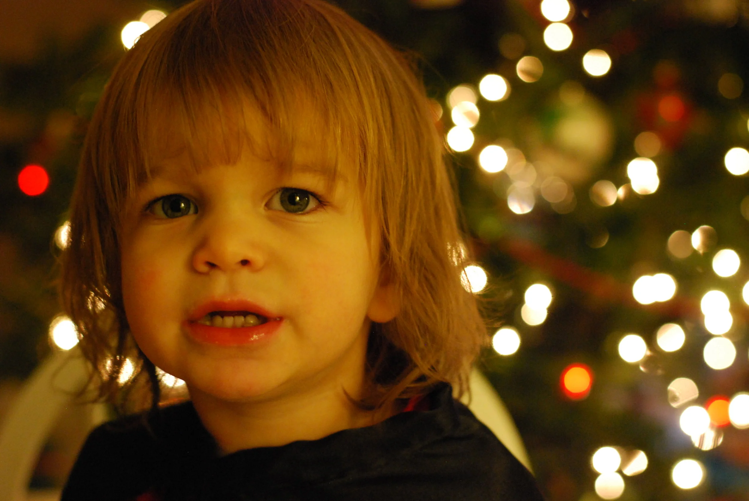 dsc_0017_12788844234_o.jpg