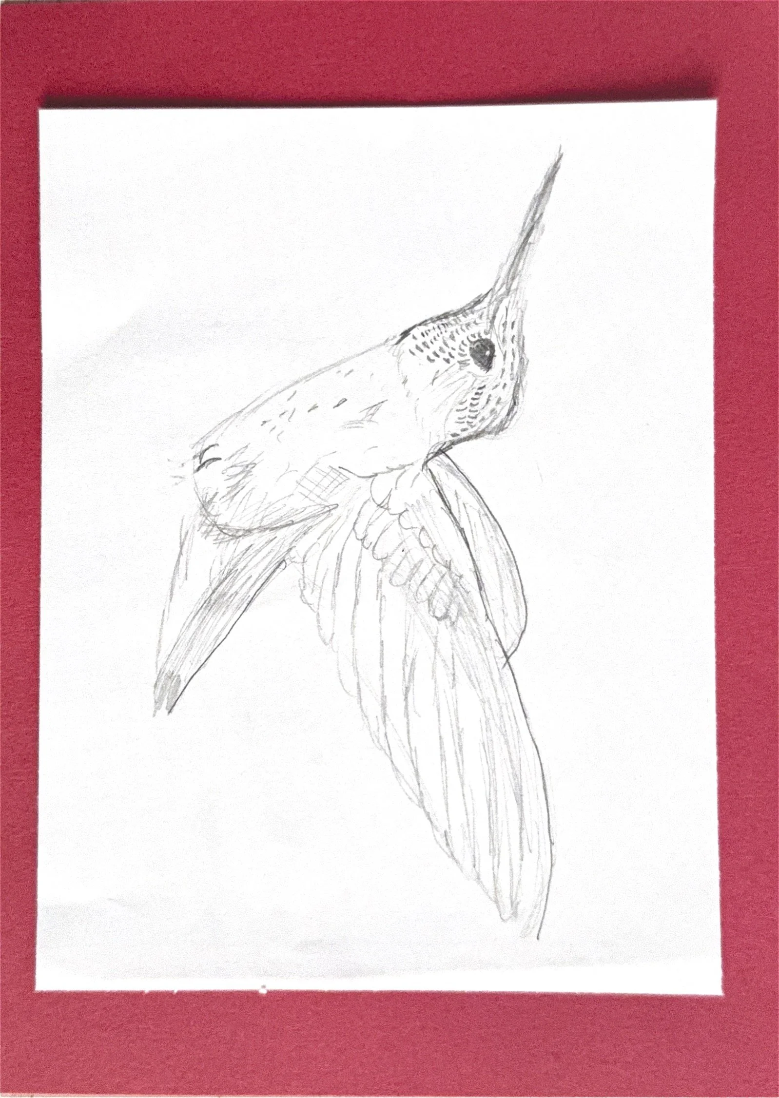Hummingbird (5.5" x 8")