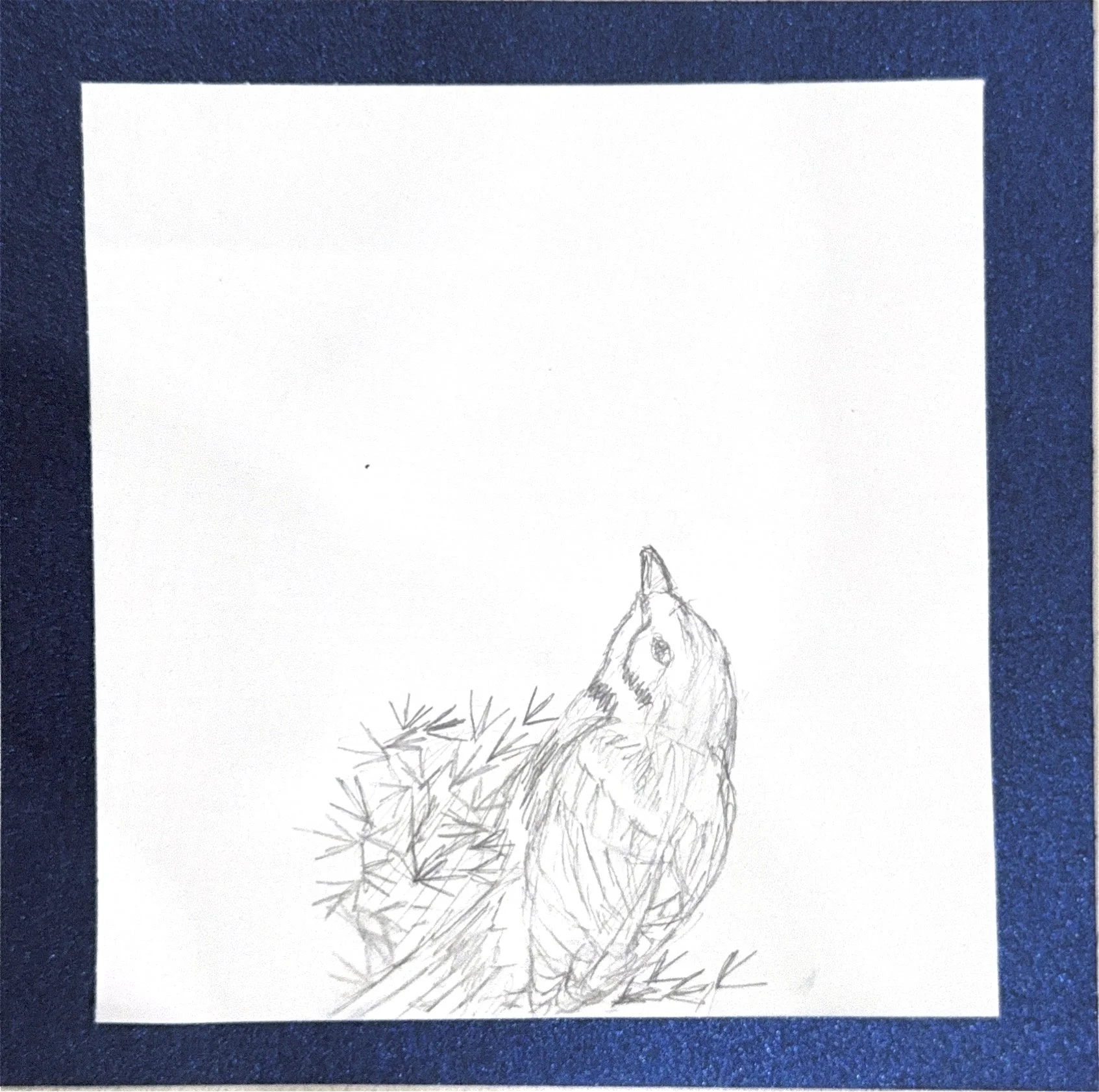 blue bird (7"x7")
