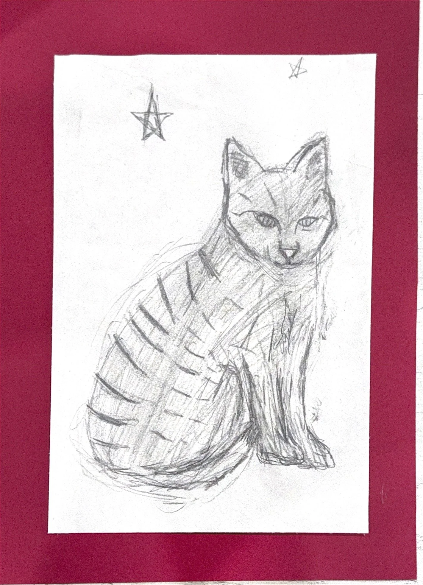 red cat.jpg