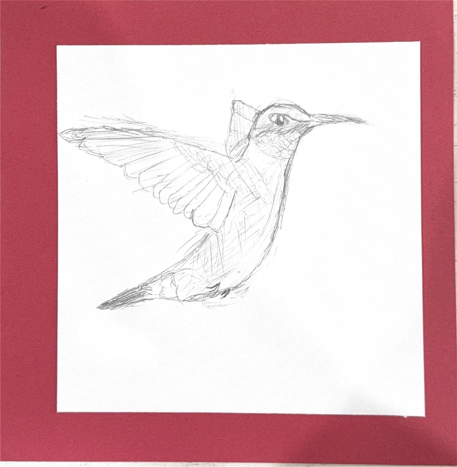 red humming birdpg.jpg